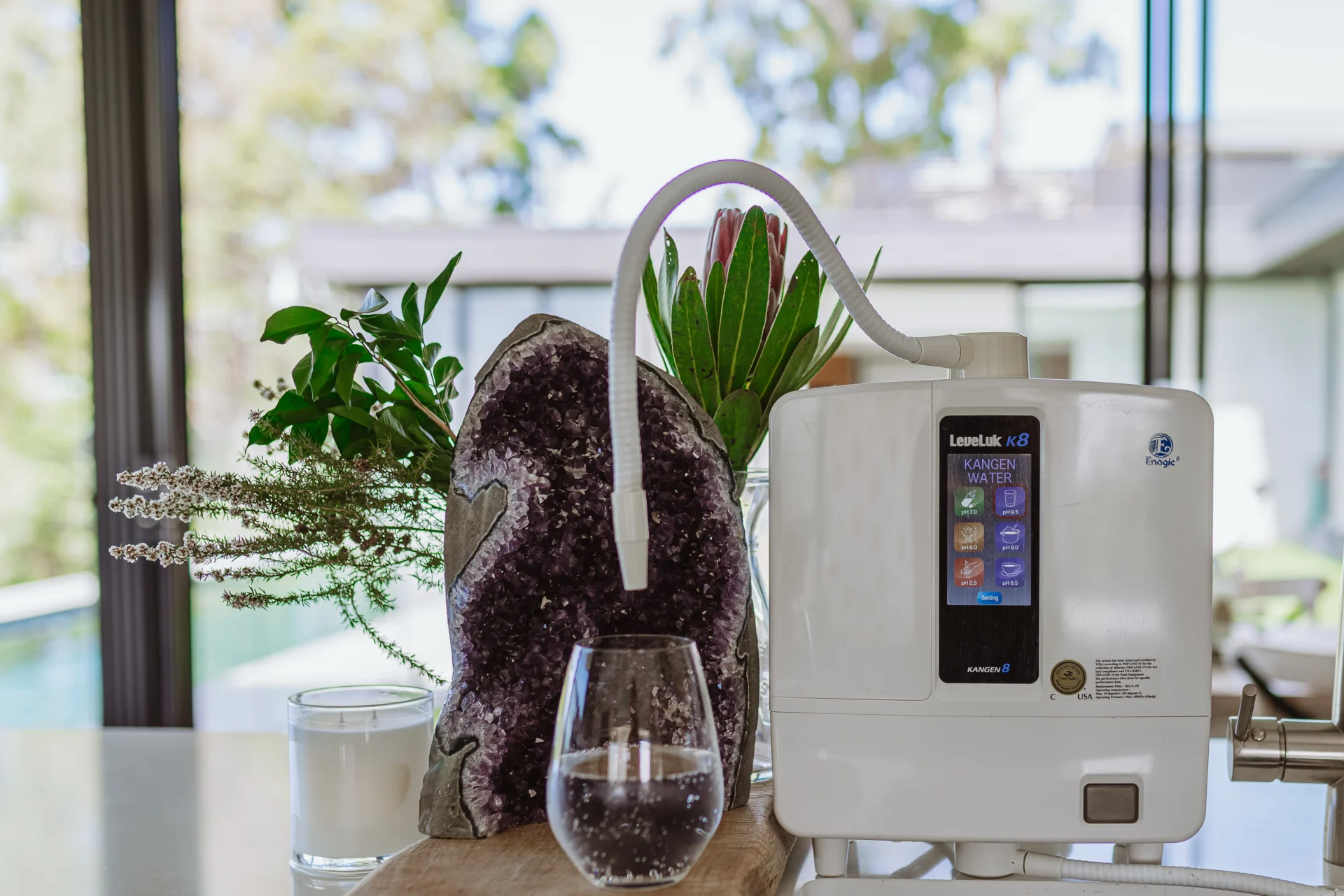 A countertop ionizer machine next to a glass of water, a large amethyst crystal, and various plants with a window view in the background.